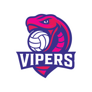 Vipers Netball Club